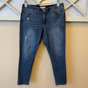 Democracy Jeans Size 16 Ab Technology Skinny Distressed Mid‎ Rise Medium Wash